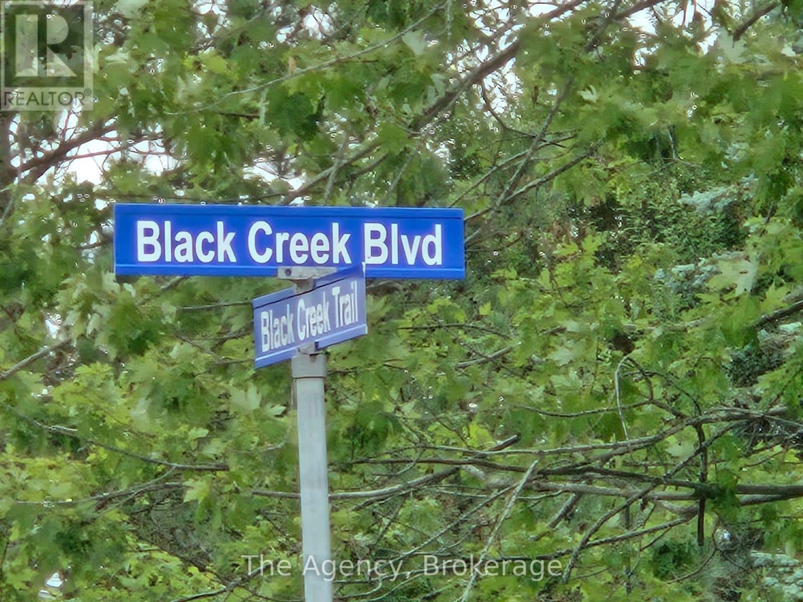 10 - 3033 TOWNLINE ROAD — Fort Erie (Black Creek), Ontario - Photo 3 of 29