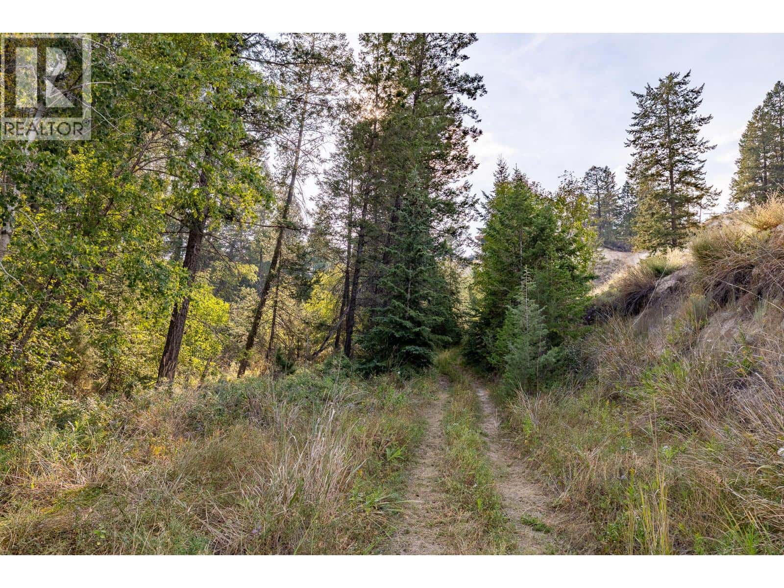 Lot B Columbia Lake Road — Fairmont Hot Springs, British Columbia - Photo 4 of 15