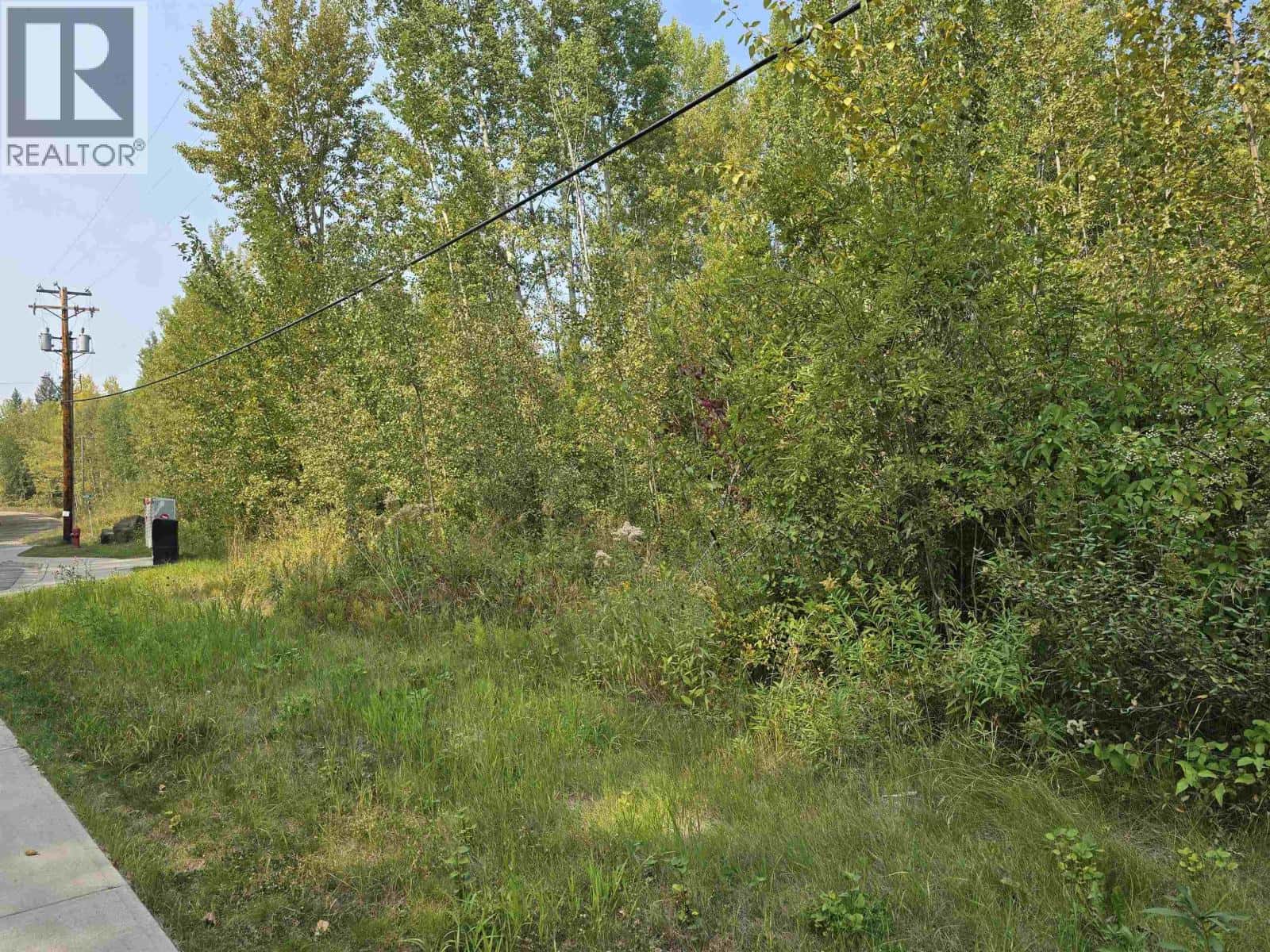 LOT 14 DAWSON STREET — Quesnel, British Columbia - Photo 2 of 4