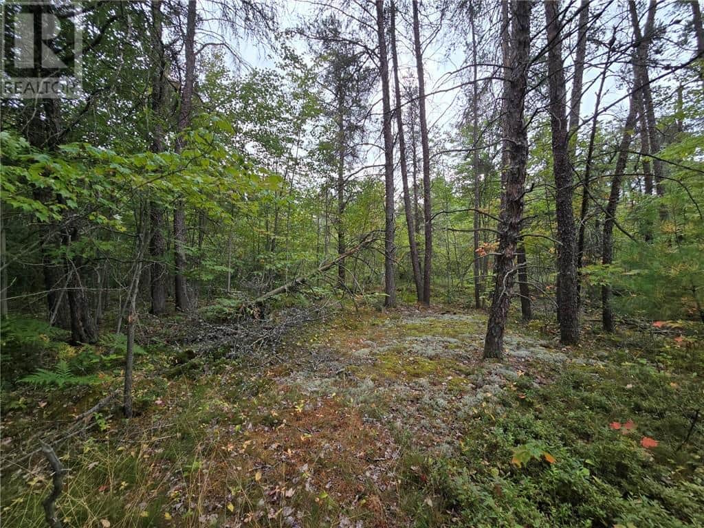 PCL 18047A Hwy 607 - Photo 3 of 6, Alban, Ontario