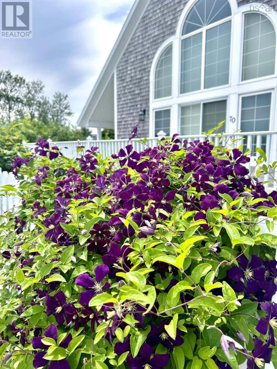 70 Water Street — Baddeck, Nova Scotia - Photo 2 of 46