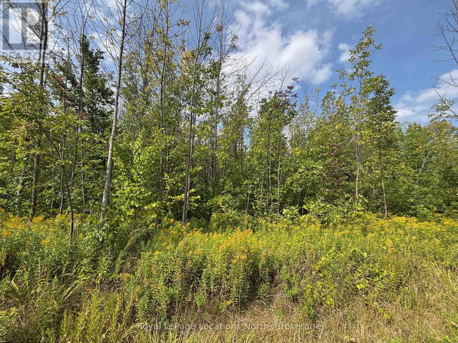 0 CEDAR AVENUE — Meaford, Ontario - Main photo