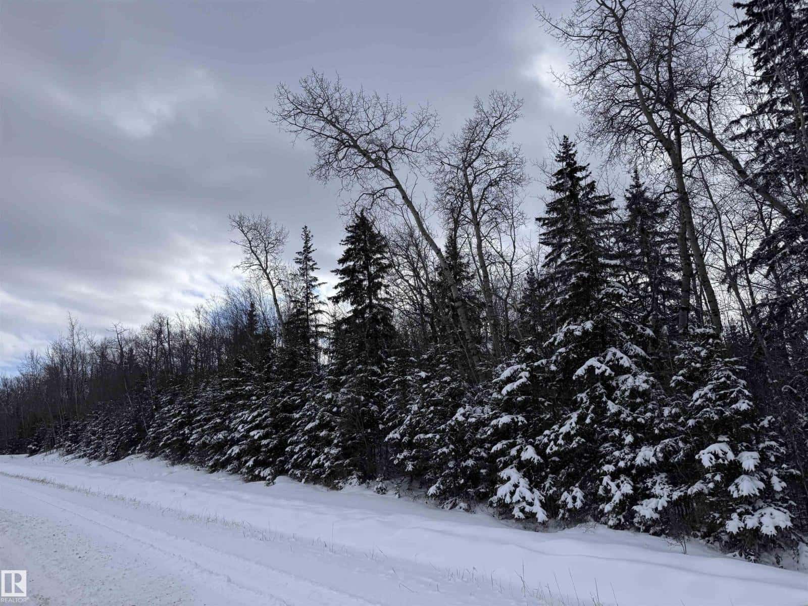 Rge Rd 261 Twp Rd 630 — Rural Westlock County, Alberta - Photo 3 of 49