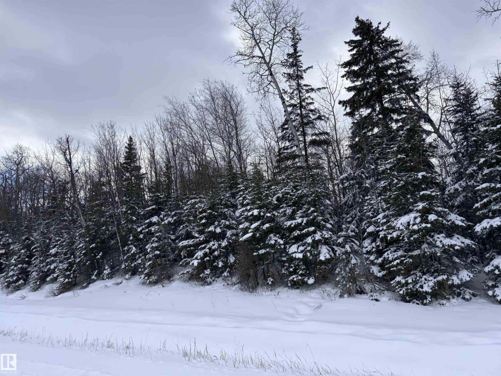 Rge Rd 261 Twp Rd 630 — Rural Westlock County, Alberta - Photo 4 of 49