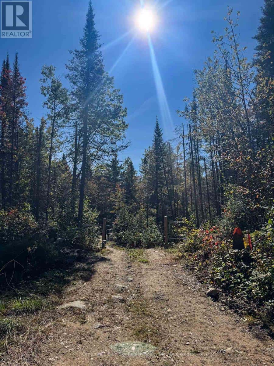 2D TAGGART LAKE ROAD — Papineau-Cameron (Papineau Cameron), Ontario - Photo 5 of 5