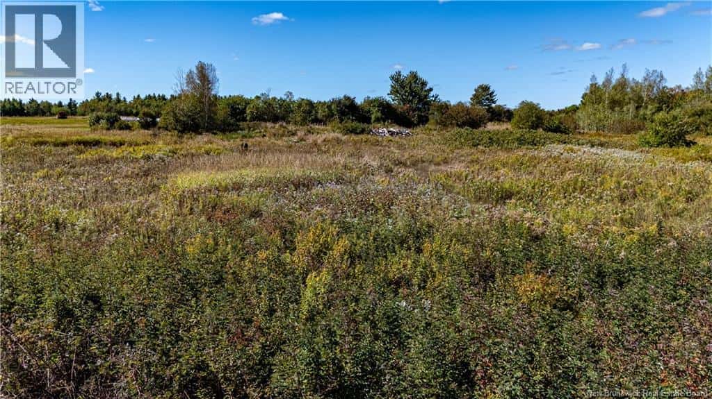 Lot Route 515 — Saint-Paul, New Brunswick - Photo 4 of 18