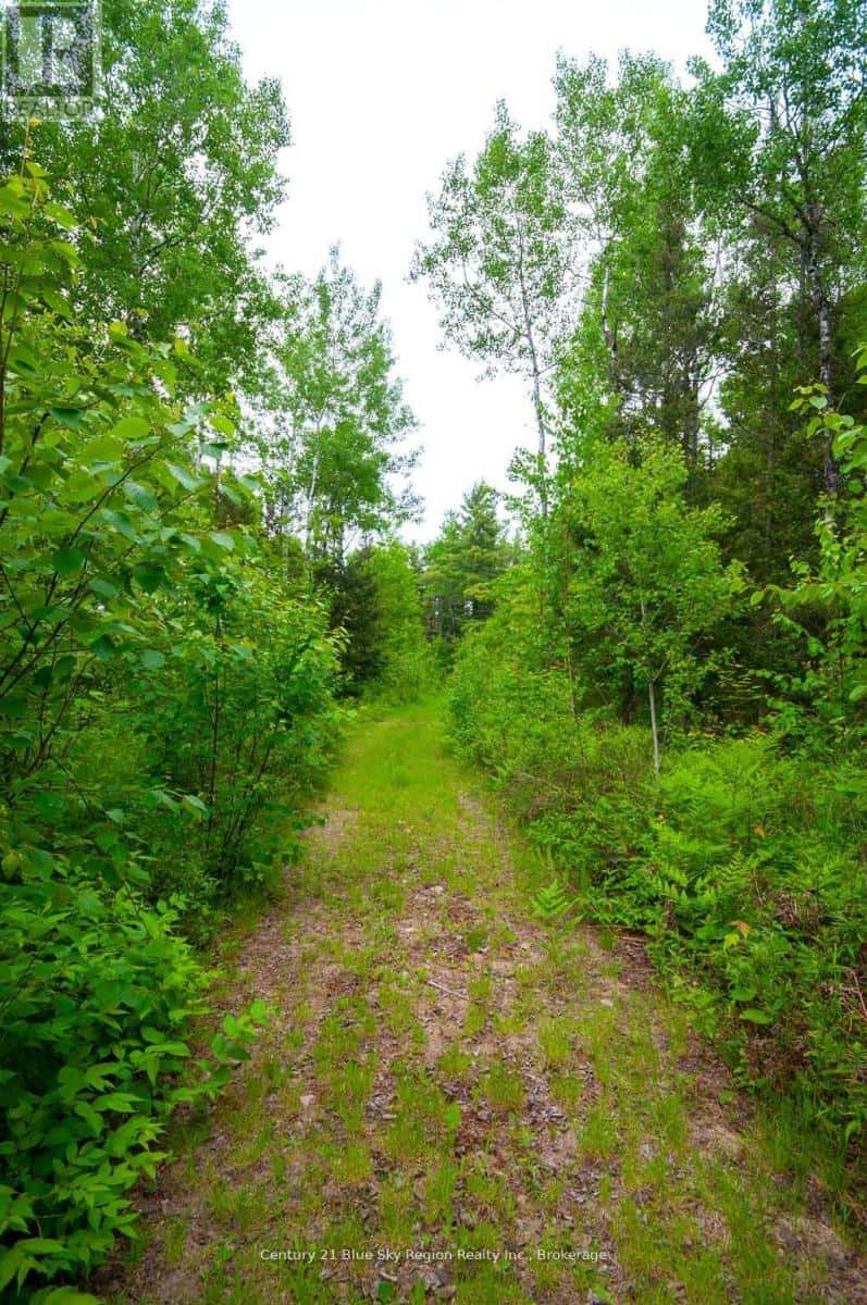 2647C HIGHWAY 17 E — East Ferris, Ontario - Photo 5 of 11