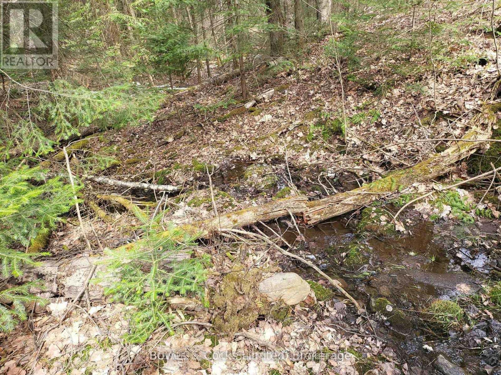 0 HIGHWAY 62 N — Hastings Highlands (Monteagle Ward), Ontario - Photo 3 of 7