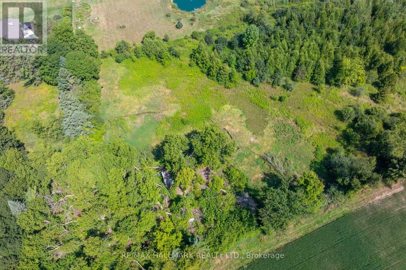 23895 MCCOWAN ROAD — Georgina (Baldwin), Ontario - Photo 4 of 23