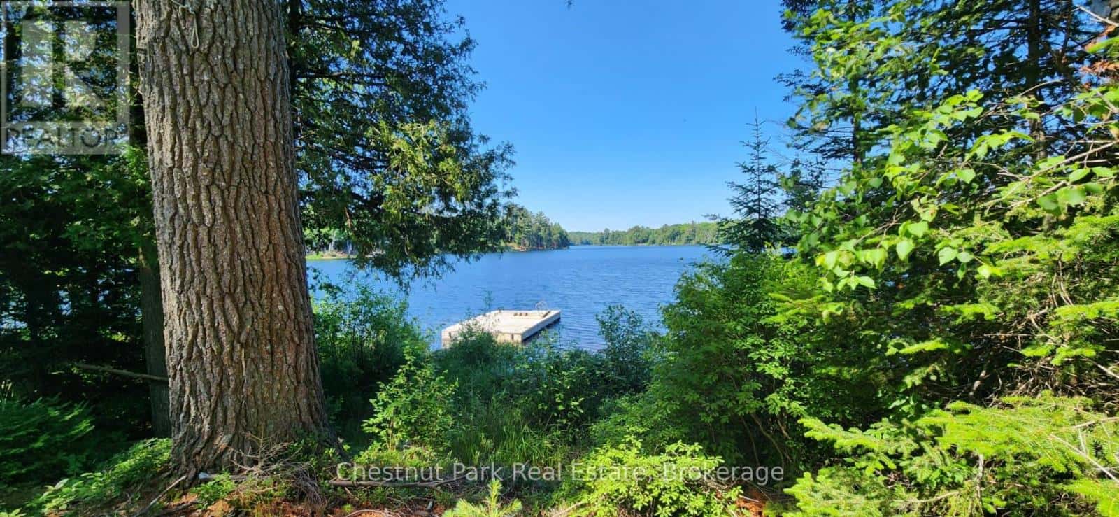 730 ECHO RIDGE ROAD — Kearney, Ontario - Photo 2 of 38