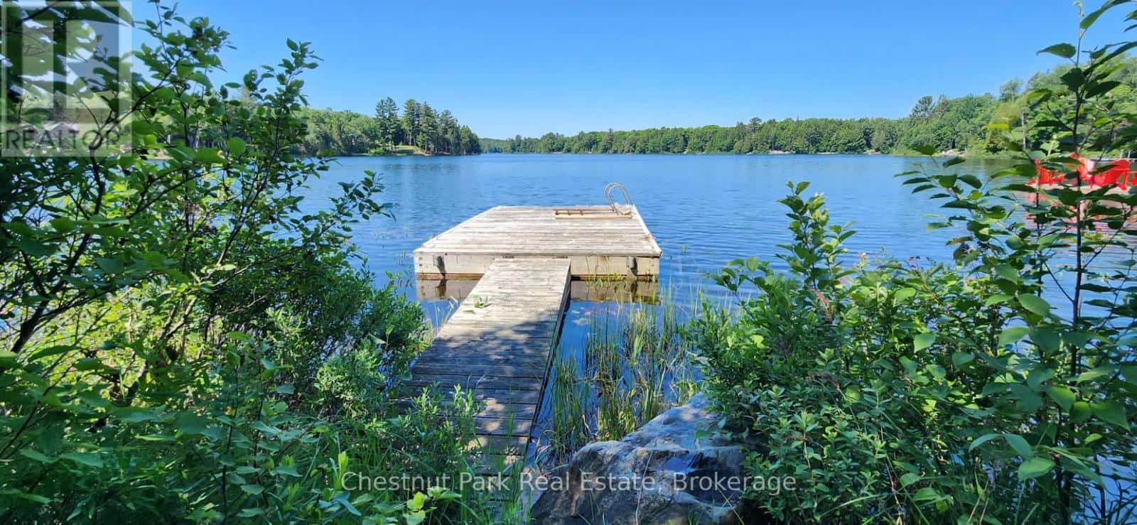 730 ECHO RIDGE ROAD — Kearney, Ontario - Photo 3 of 38