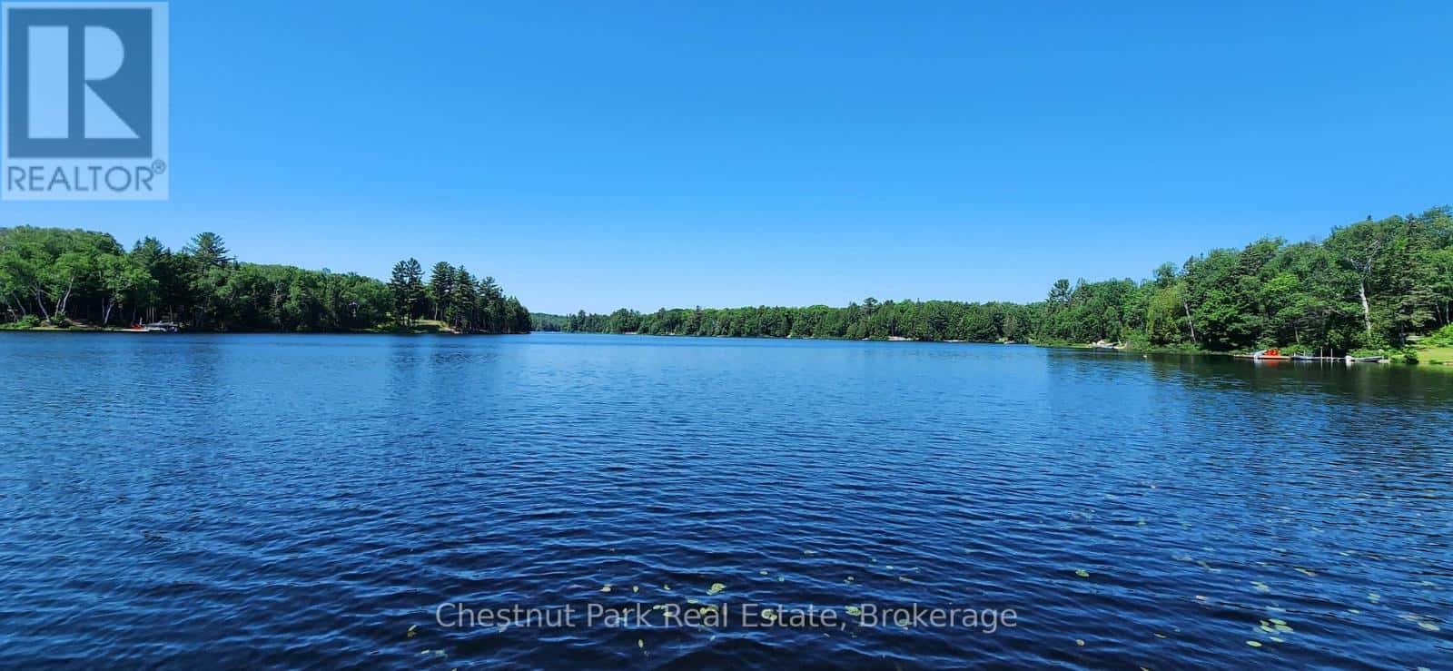 730 ECHO RIDGE ROAD — Kearney, Ontario - Photo 4 of 38