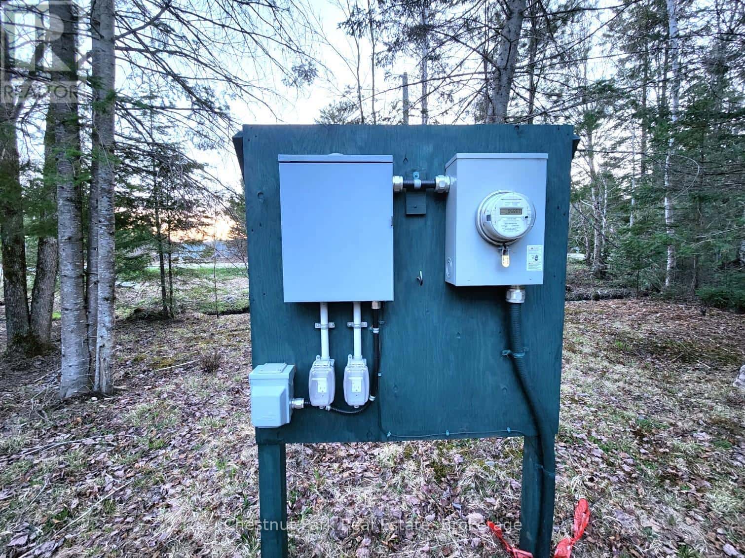 730 ECHO RIDGE ROAD — Kearney, Ontario - Photo 5 of 38