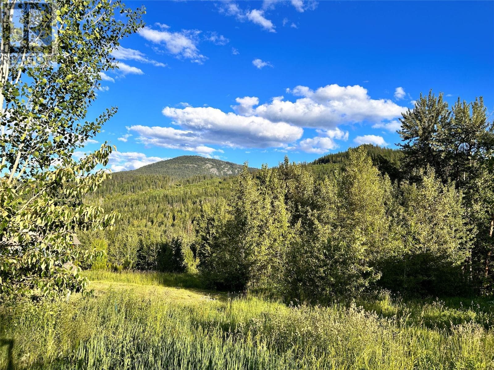 917 Redstone Drive — Rossland, British Columbia - Main photo