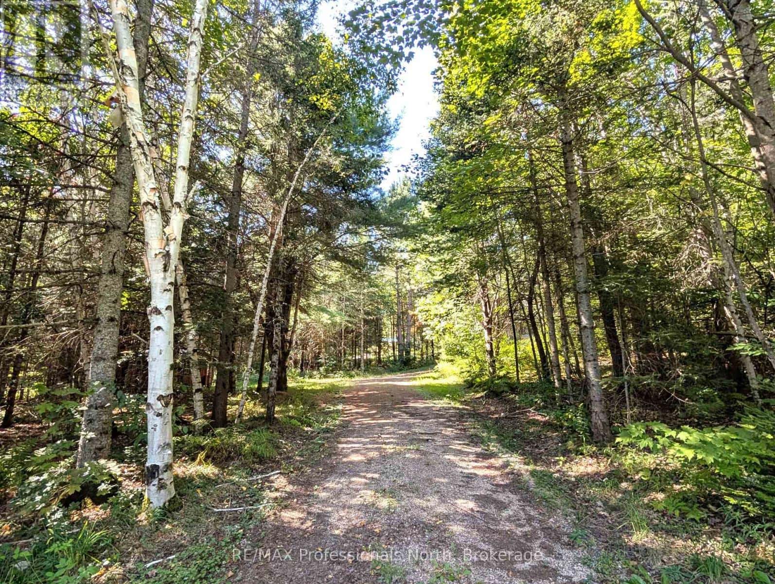 88 RYE ROAD — Parry Sound Remote Area (Lount), Ontario - Photo 4 of 33