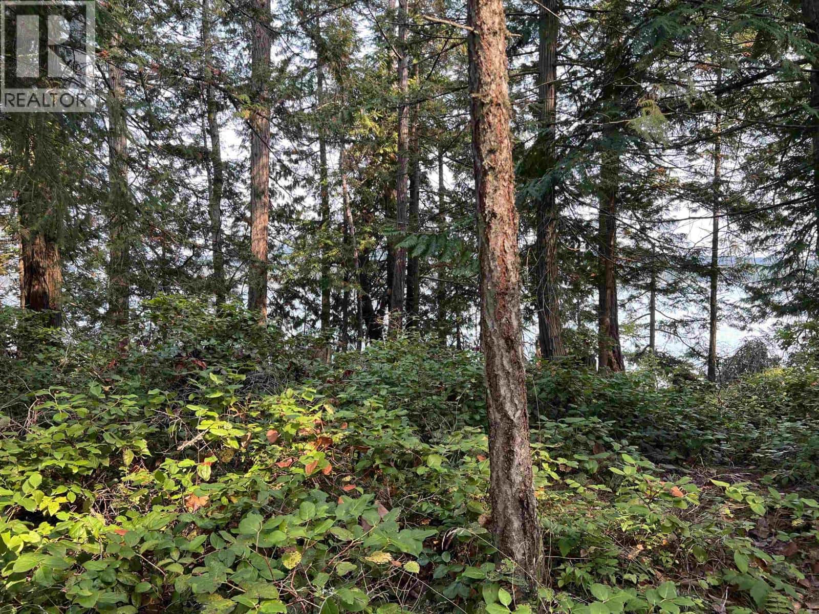 LOT 2 NORTH END ROAD — Salt Spring Island, British Columbia - Photo 2 of 8