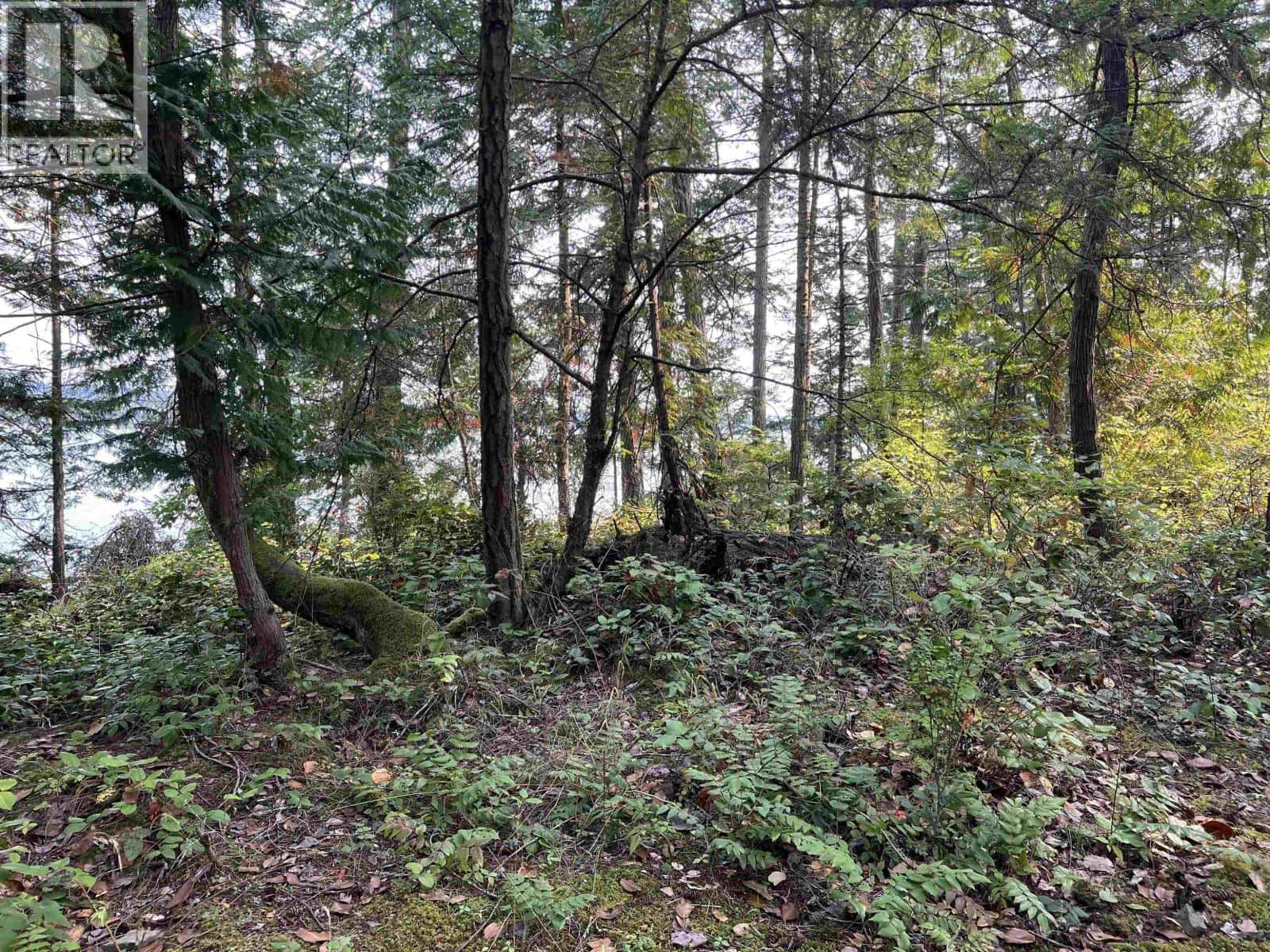 NORTH END Road LOT 2