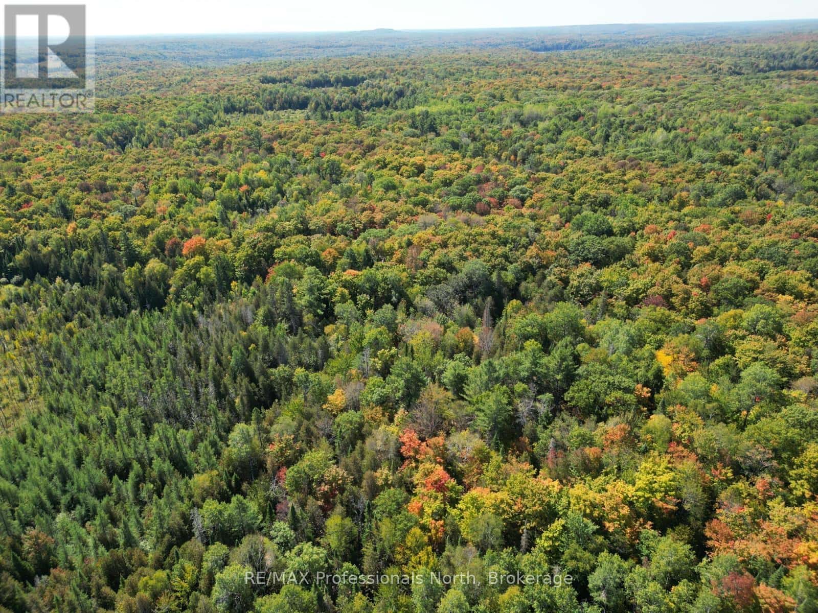 PT LT 35 CON 7 GLAMOR LAKE ROAD — Highlands East (Monmouth), Ontario - Photo 3 of 19