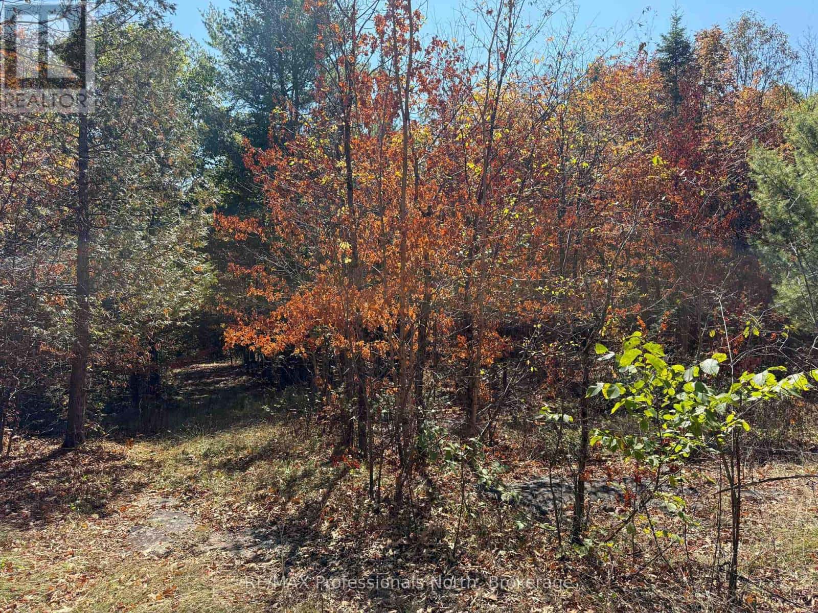 PT LT 35 CON 7 GLAMOR LAKE ROAD — Highlands East (Monmouth), Ontario - Photo 4 of 19