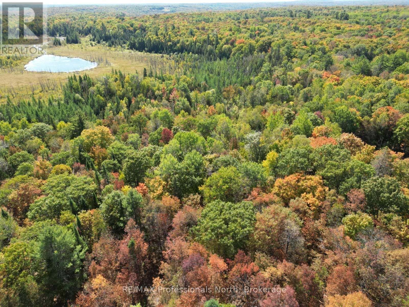 PT LT 35 CON 7 GLAMOR LAKE ROAD — Highlands East (Monmouth), Ontario - Photo 2 of 19