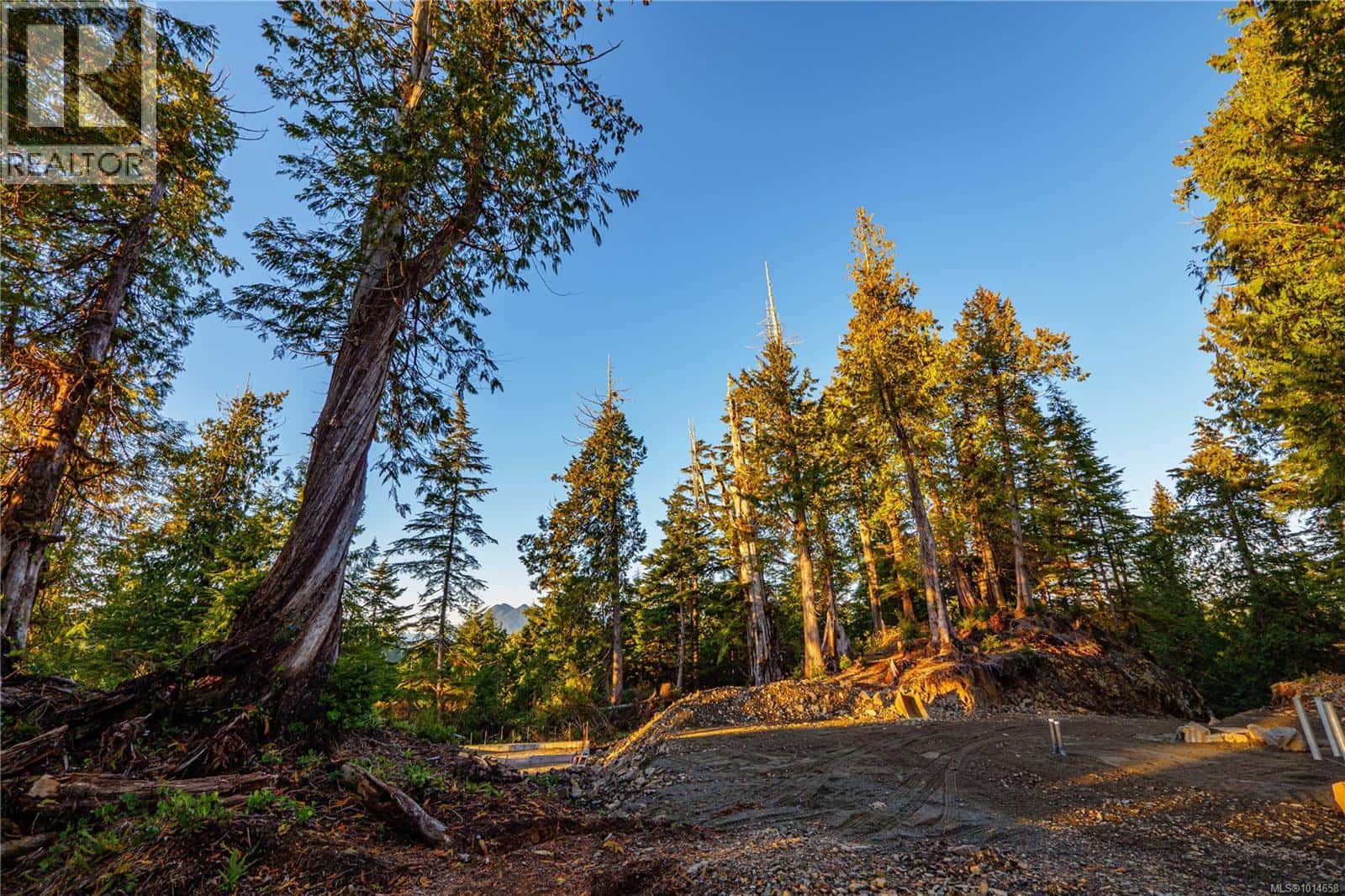 340 Tonquin Park Rd — Tofino, British Columbia - Photo 3 of 16