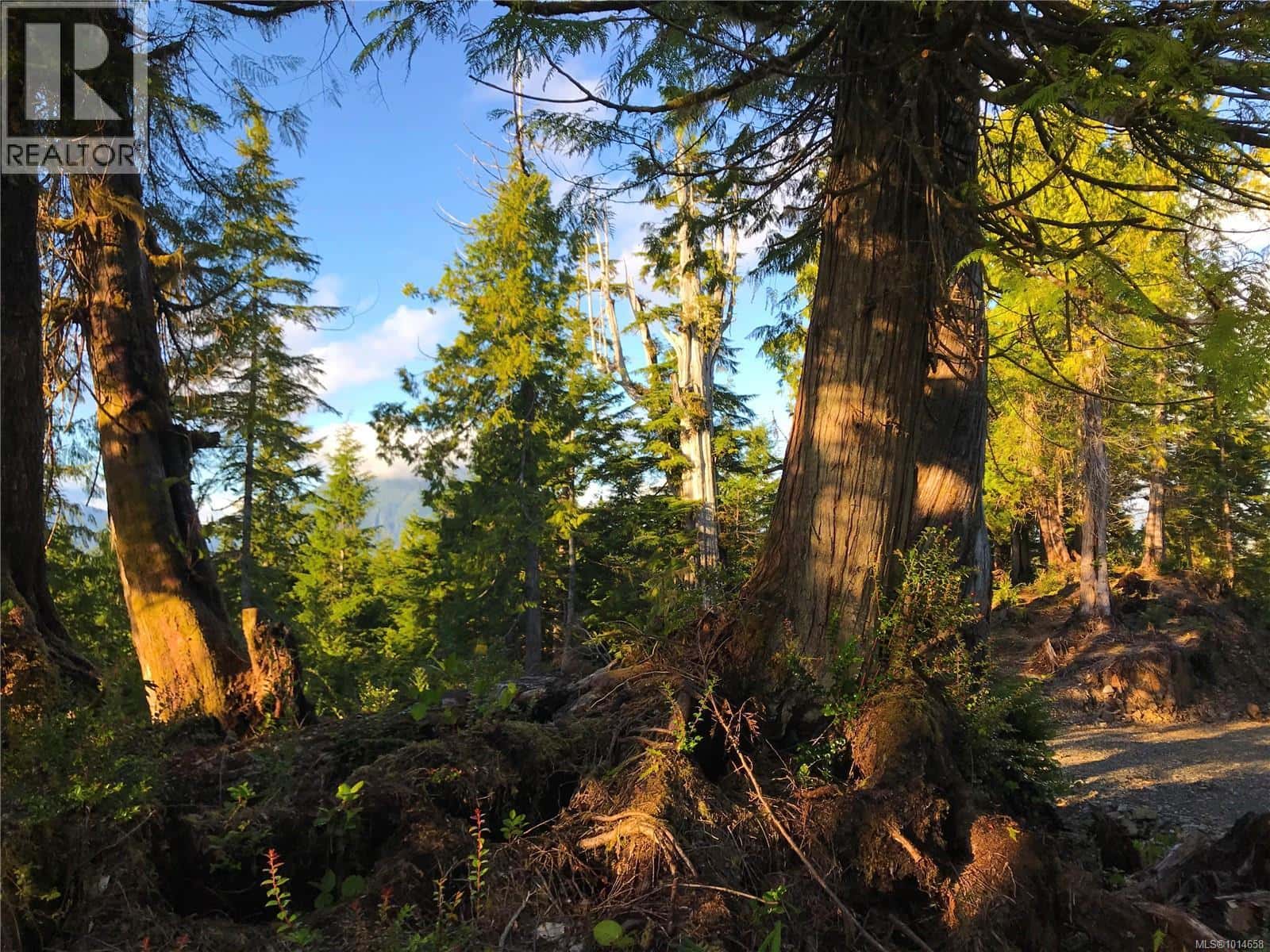 340 Tonquin Park Rd — Tofino, British Columbia - Photo 4 of 16