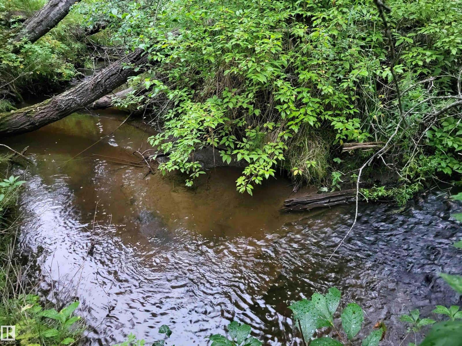 SW-24-53-11-5 Block 1, Lot 5 (RR 111 at Twp 533) — Rural Yellowhead, Alberta - Photo 2 of 13