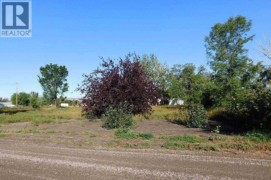 Tigermoth Crescent NE — Rural Willow Creek No. 26, M.D. of, Alberta - Photo 5 of 9