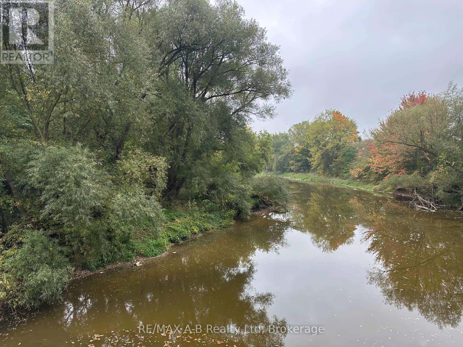 42951 CRANBROOK ROAD — Huron East (Grey), Ontario - Photo 4 of 19