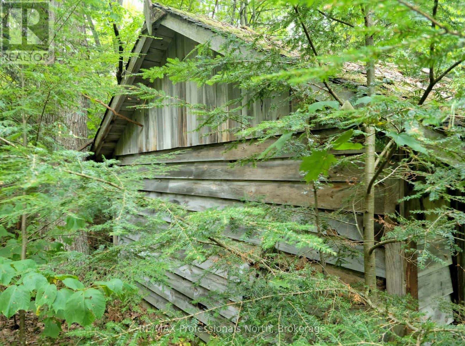 LOT 9 & 10 CONCESSION 5 — Lake of Bays (Mclean), Ontario - Photo 5 of 46