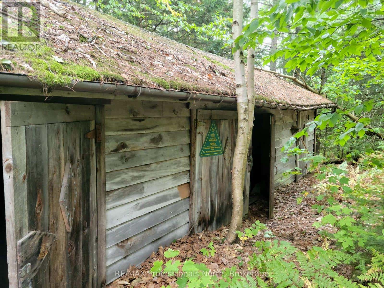 LOT 9 & 10 CONCESSION 5 — Lake of Bays (Mclean), Ontario - Photo 4 of 46