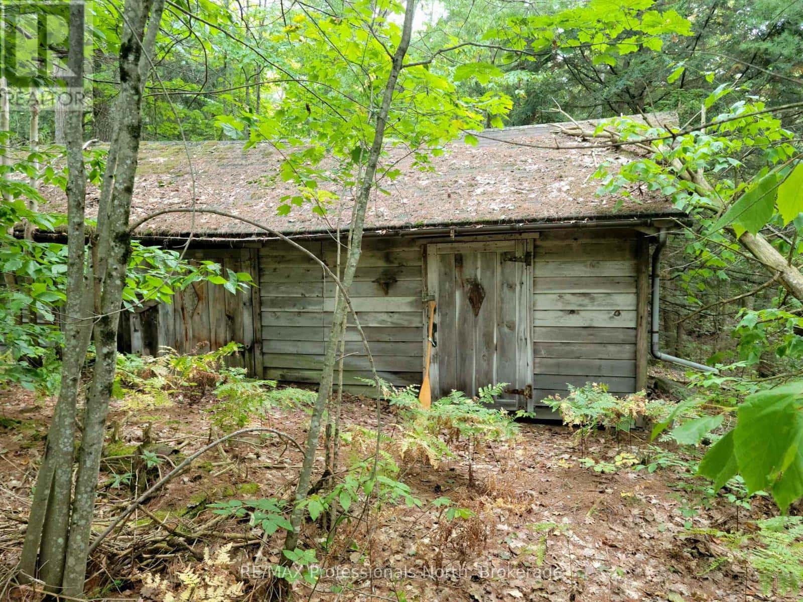 LOT 9 & 10 CONCESSION 5 — Lake of Bays (Mclean), Ontario - Photo 3 of 46