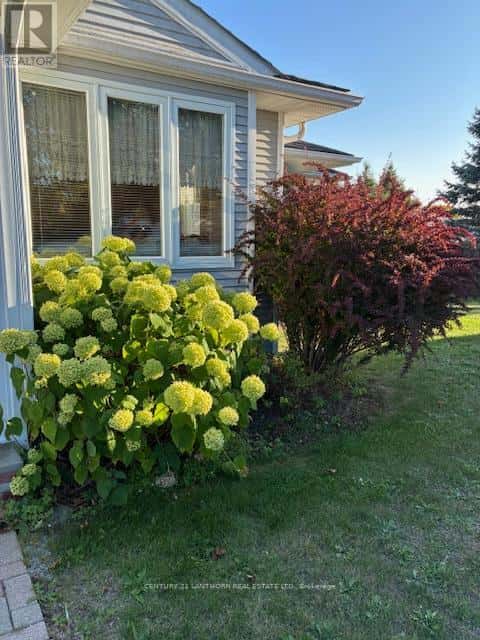 10 REYNOLDS PLACE W — Prince Edward County (Wellington Ward), Ontario - Photo 4 of 38