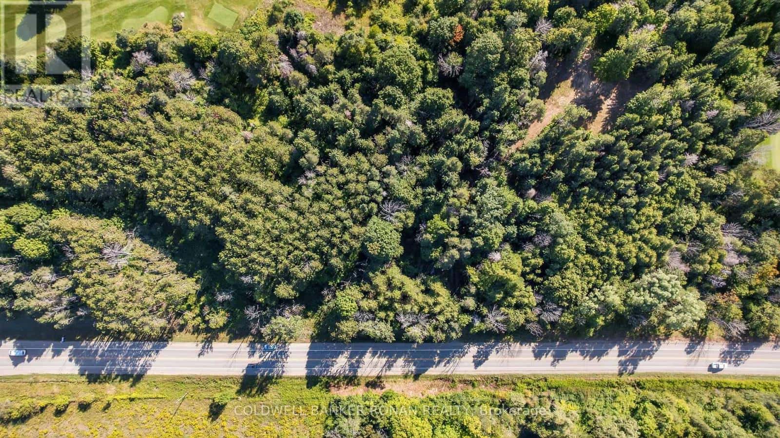 934529 AIRPORT ROAD — Mono, Ontario - Photo 4 of 12