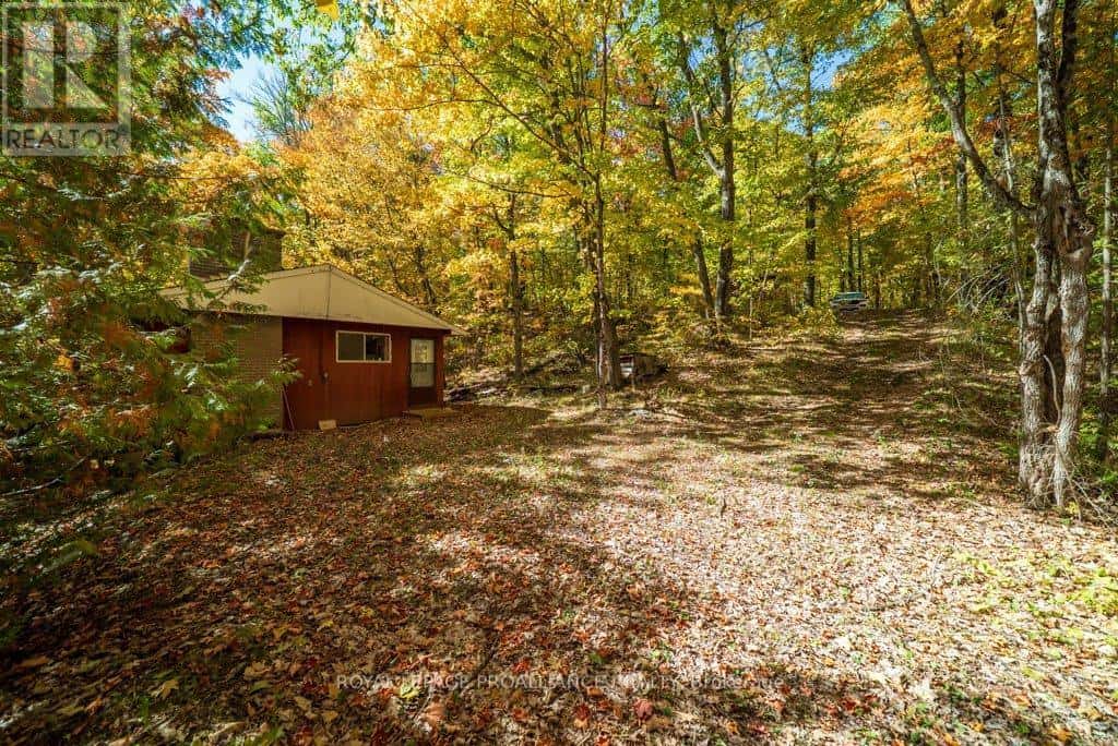 1042 EAST FLIELER LANE — Frontenac (Frontenac North), Ontario - Photo 5 of 50