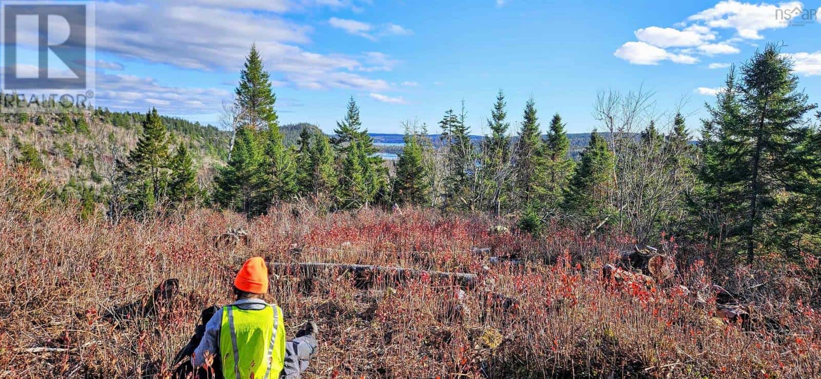 Grant 21937 Soles Stillwater — East Chezzetcook, Nova Scotia - Photo 5 of 21