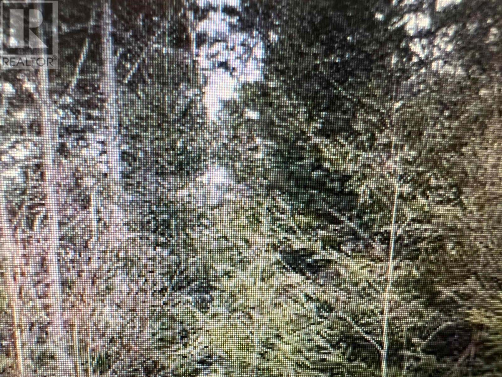 R3-7R Highway 2 Highway — Oakfield, Nova Scotia - Photo 5 of 7