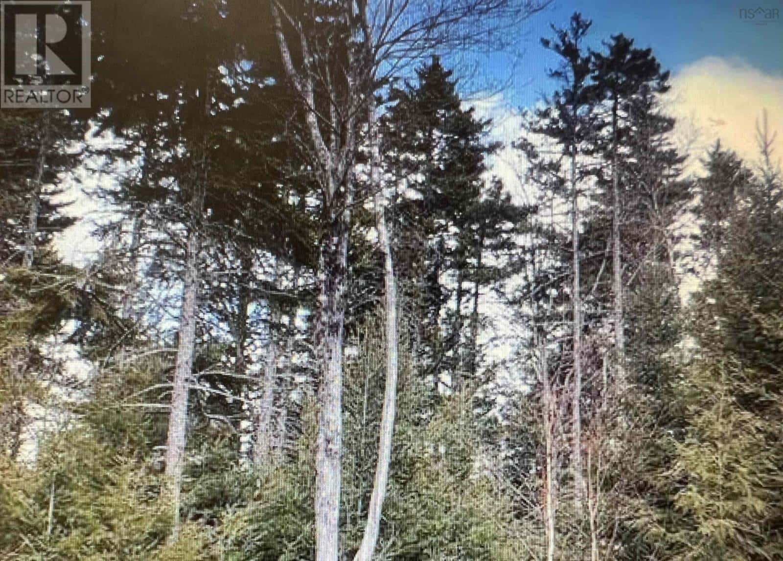 R3-7R Highway 2 Highway — Oakfield, Nova Scotia - Photo 4 of 7