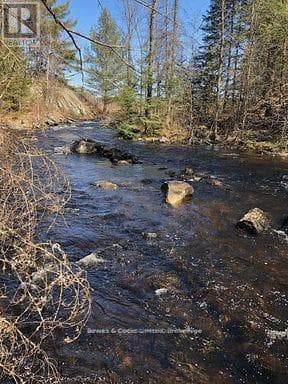 2449 THE RIDGE ROAD — Marmora and Lake (Lake Ward), Ontario - Main photo