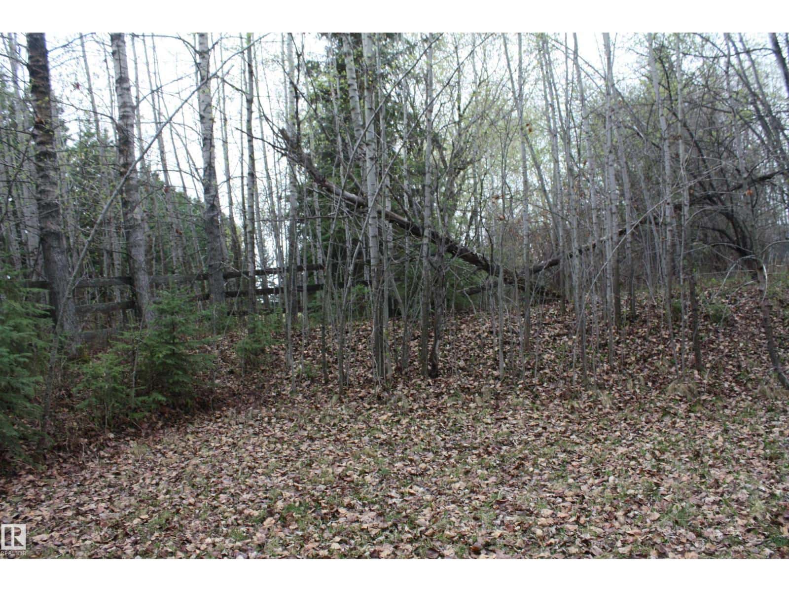 #17 61076 TWP ROAD 462 A — Rural Wetaskiwin County, Alberta - Photo 5 of 8