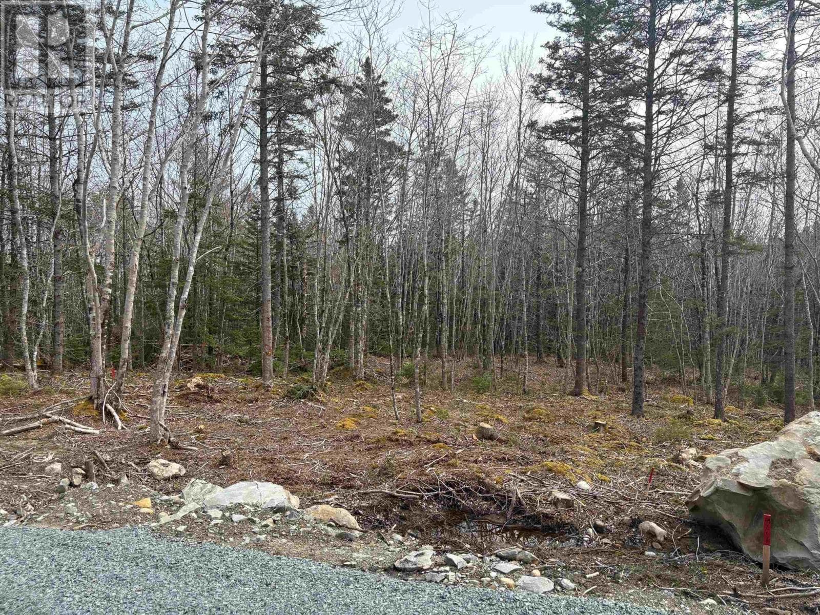 Lot 4 Larry Seldon Lane — Western Head, Nova Scotia - Main photo