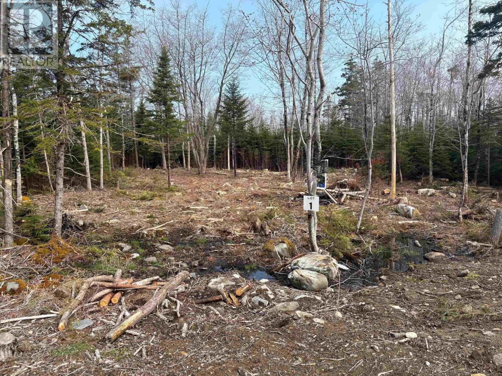 Lot 1 Larry Seldon Lane — Western Head, Nova Scotia - Main photo