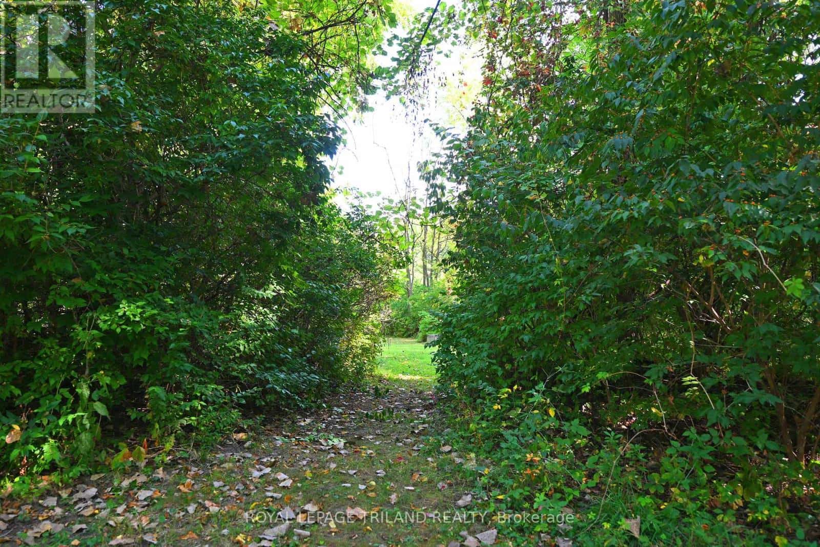 65 COVE ROAD — London South (South D), Ontario - Photo 4 of 35