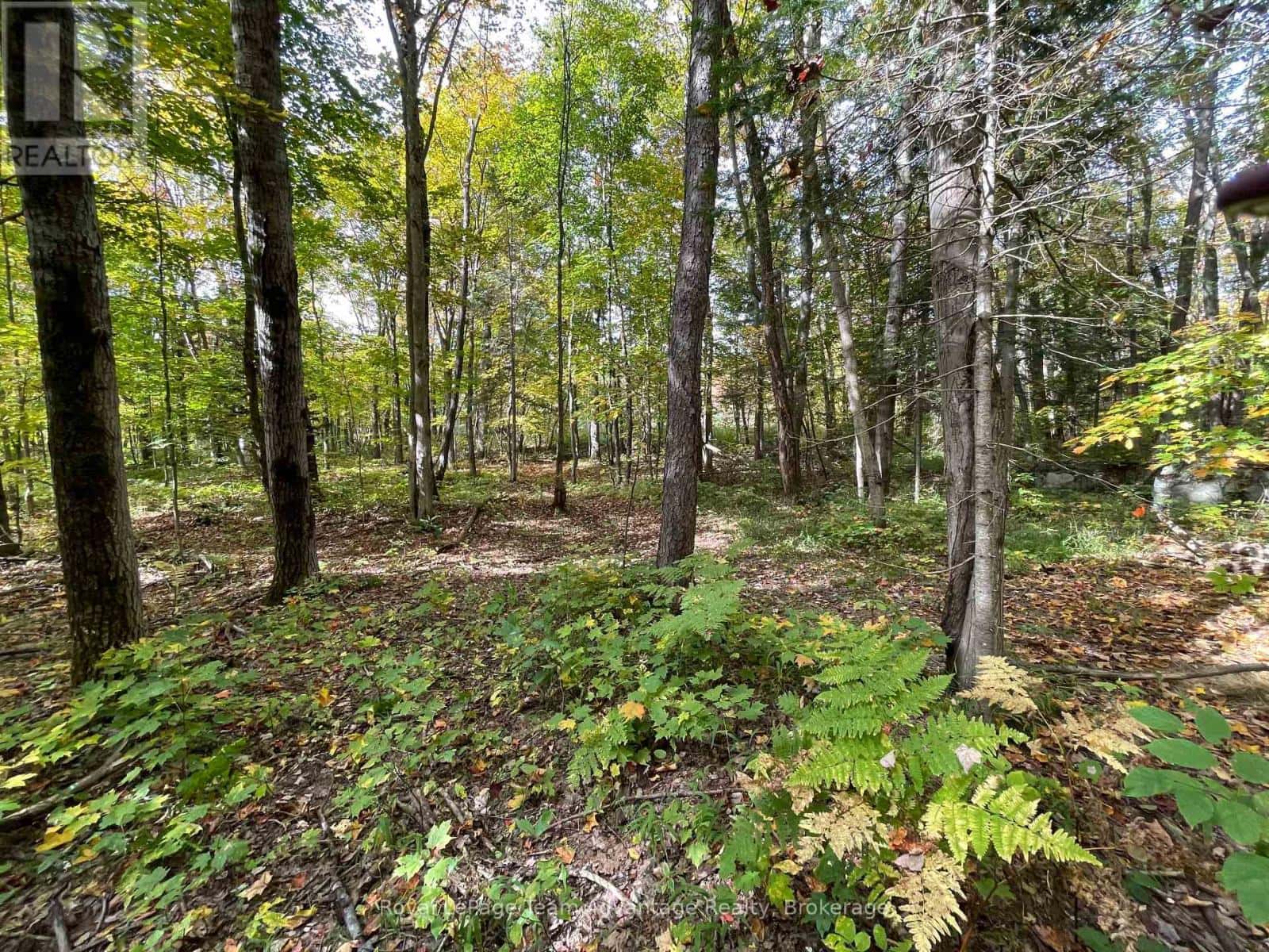 LT 23 CON 10 — Carling, Ontario - Photo 3 of 5