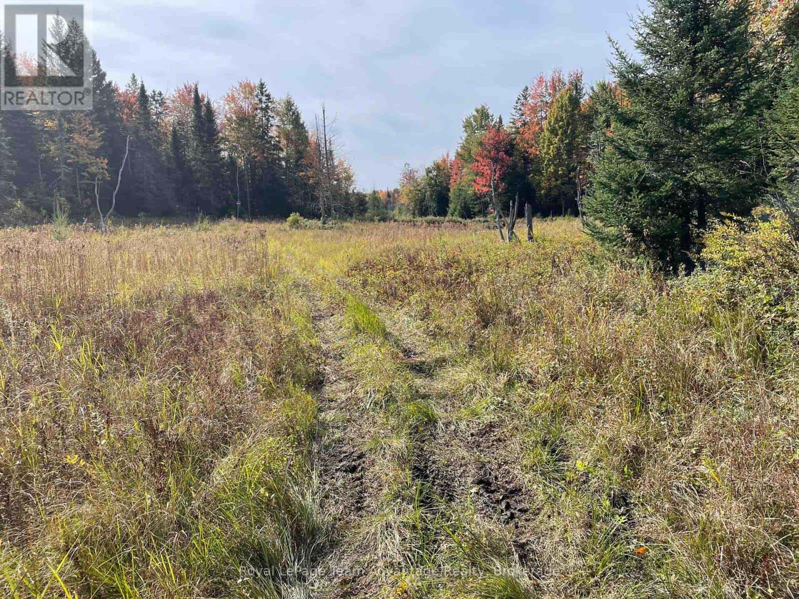 LT 23 CON 10 — Carling, Ontario - Photo 4 of 5