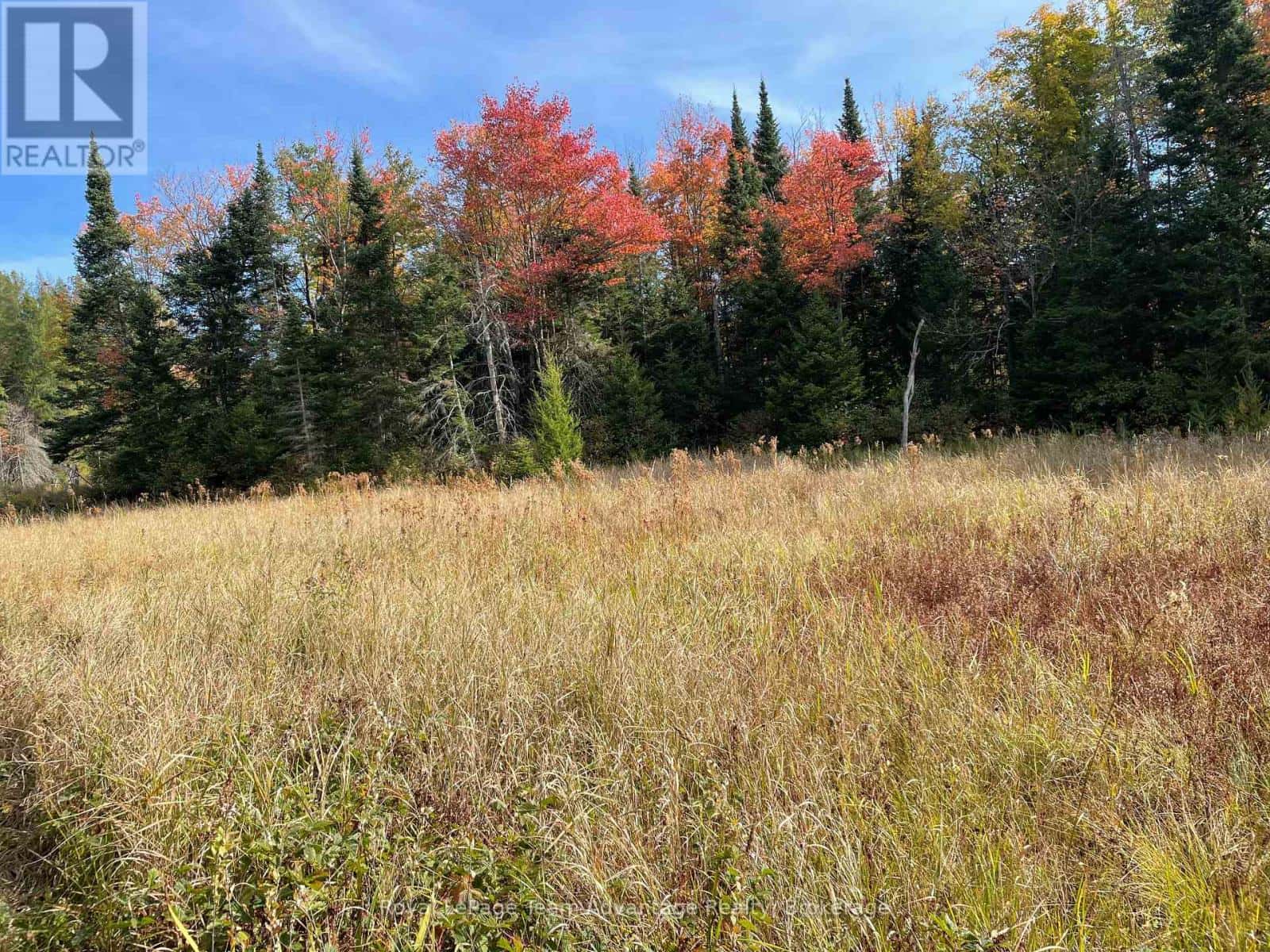 LT 23 CON 10 — Carling, Ontario - Photo 5 of 5