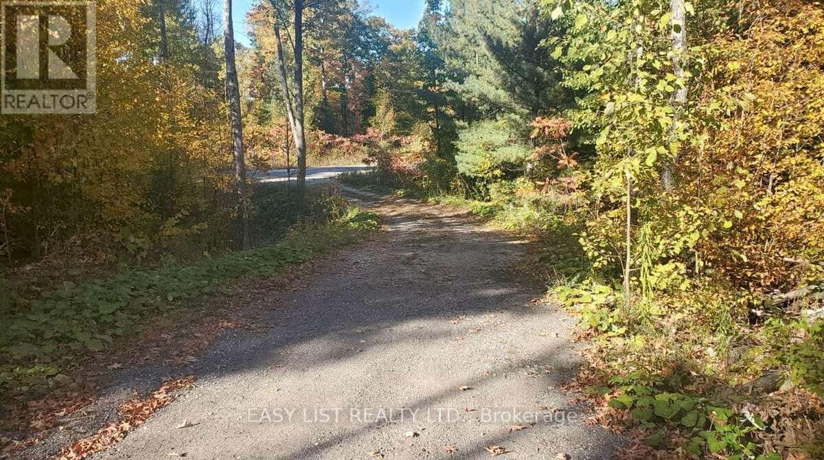 803 BARRETT CHUTE ROAD — Greater Madawaska, Ontario - Photo 2 of 30