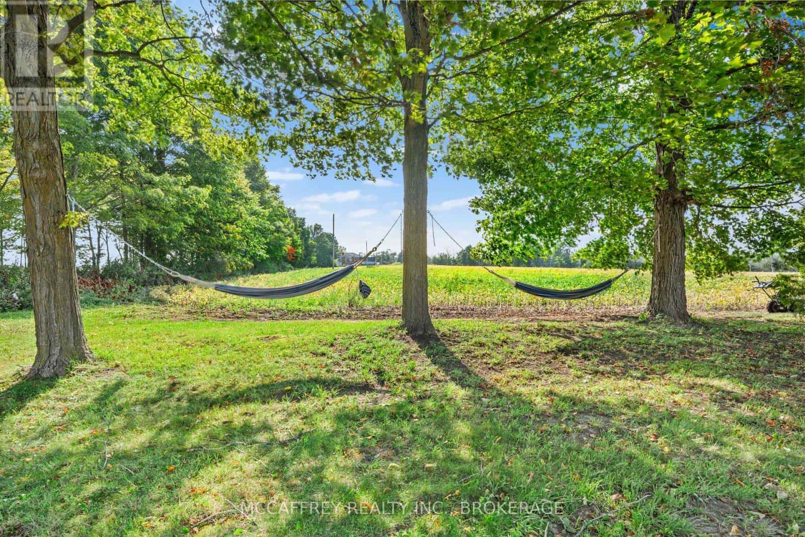 Loyalist (Lennox and Addington - South), Ontario — Loyalist (Lennox and Addington - South), Ontario - Photo 4 of 50