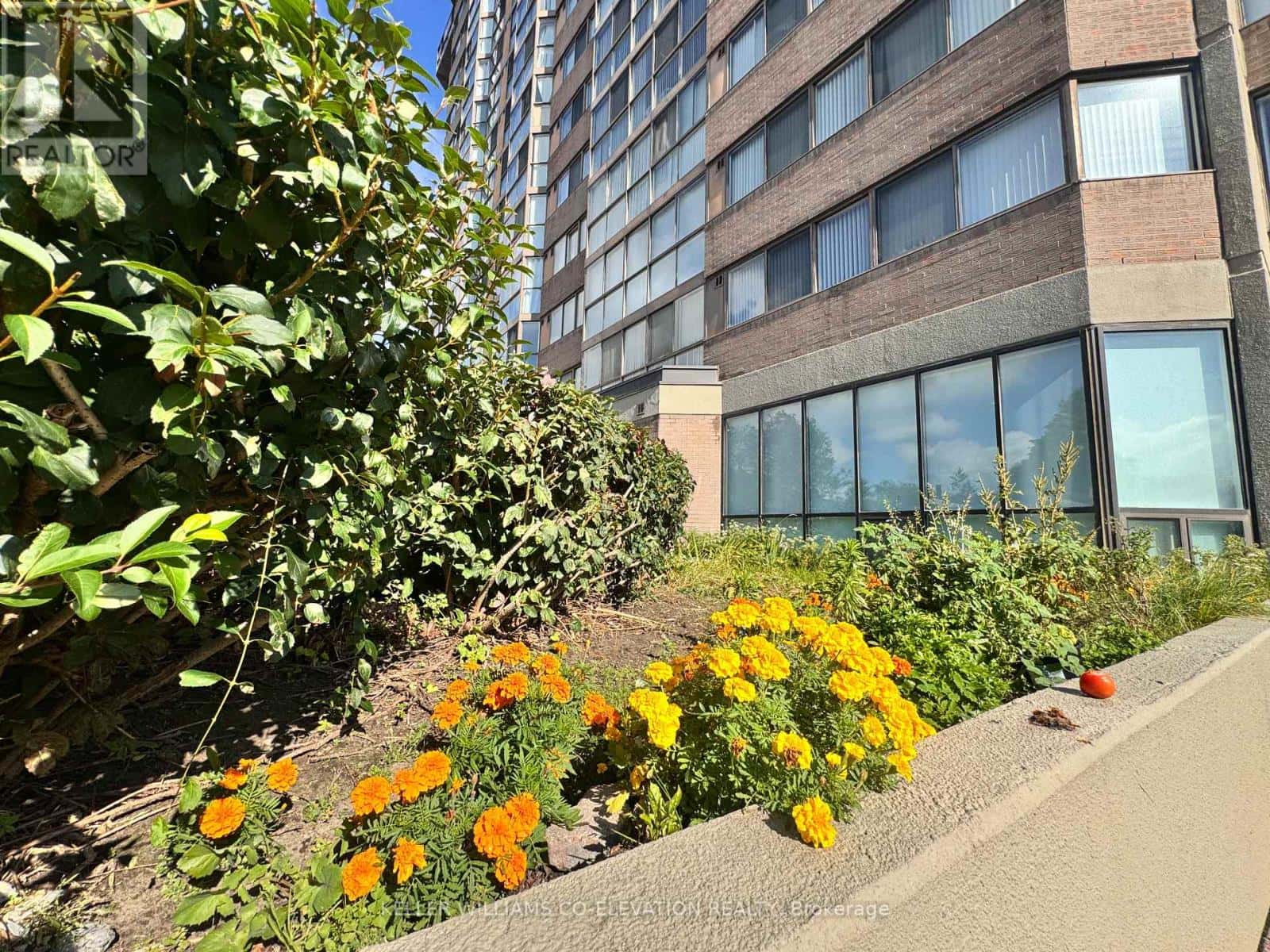 1604 - 880 DUNDAS STREET W — Mississauga (Erindale), Ontario - Photo 3 of 24