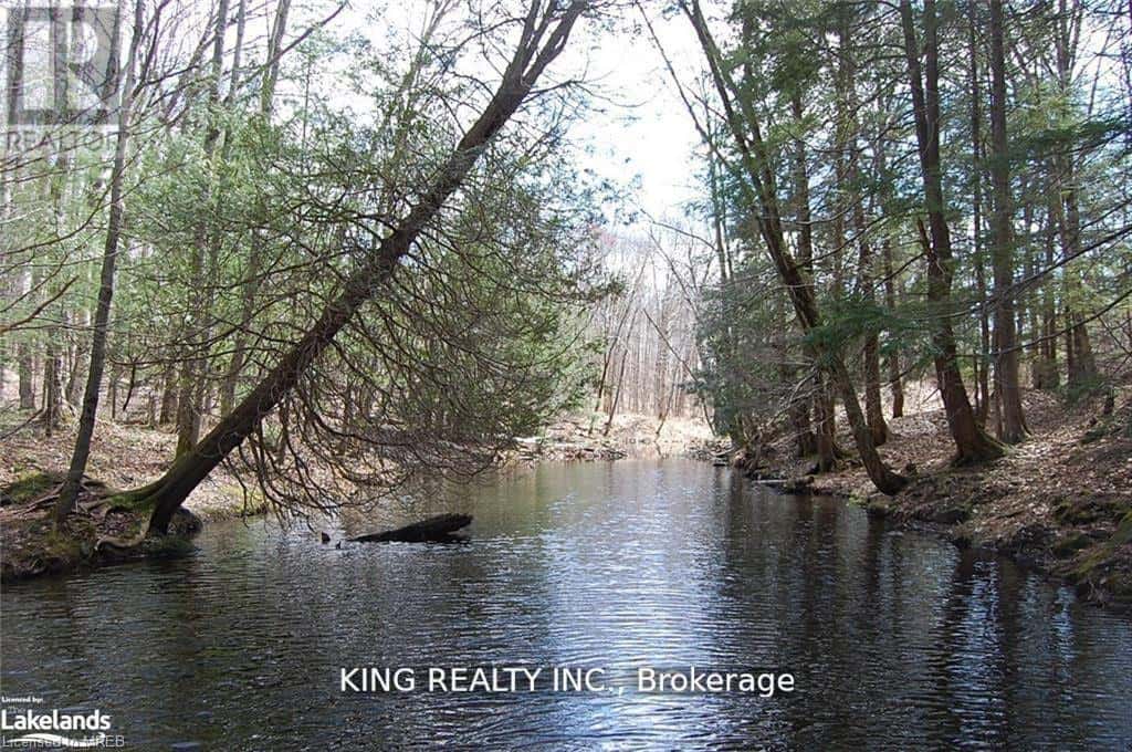 (LOT13) - 12 ZHAAWASHKWAA MIIKAN ROAD — Seguin, Ontario - Photo 2 of 12